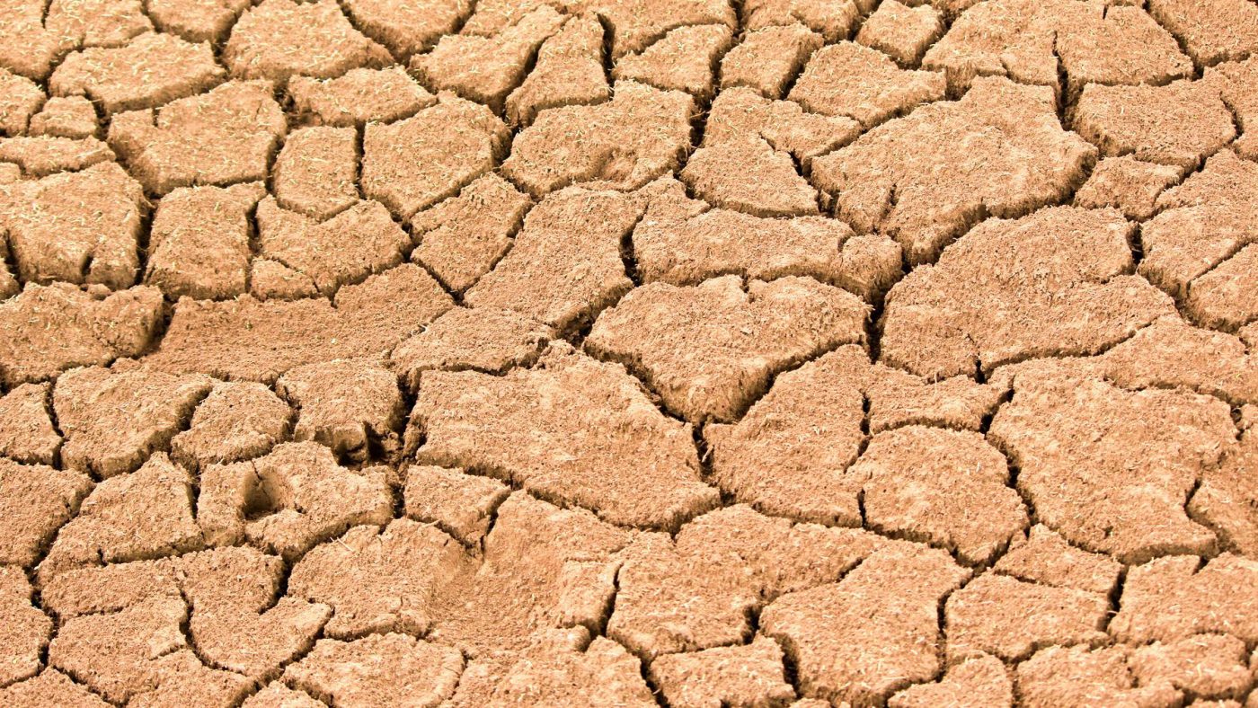 Close-up of cracked dry earth showing effects of extreme drought and climate change.
